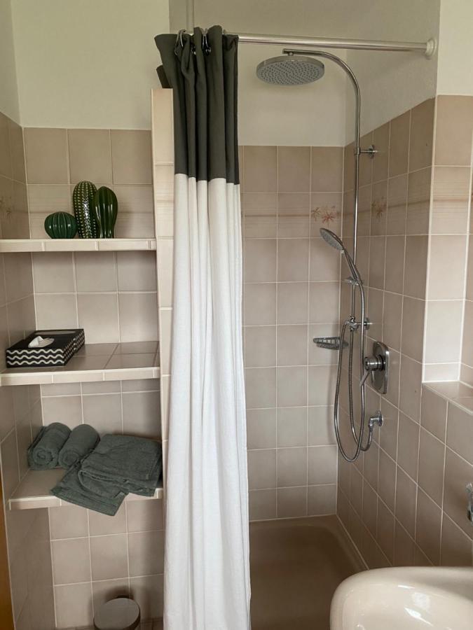 Vogesenblick Apartment Mullheim (Baden-Wurttemberg)