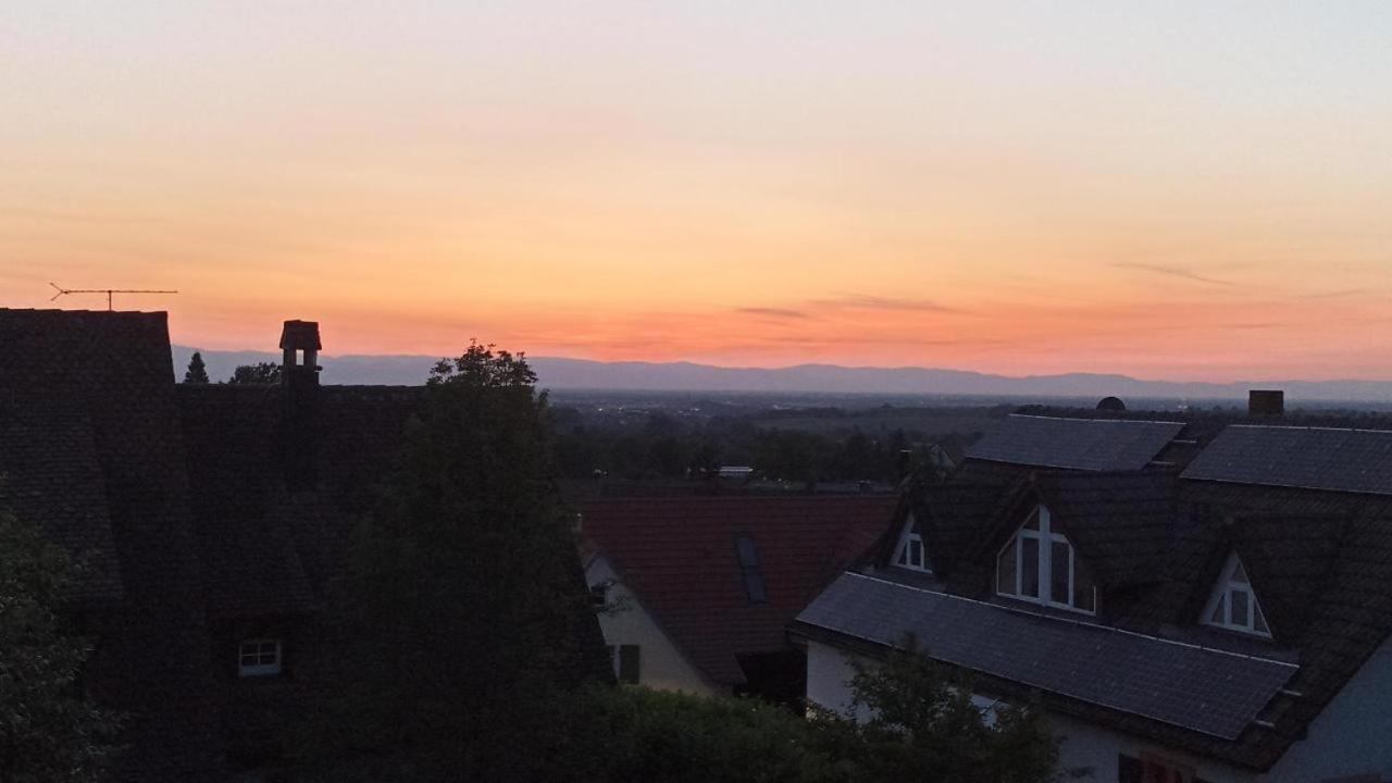 Apartment Vogesenblick